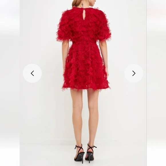 Endless Rose Texture Mesh  Overlay Mini Dress - Picture 4 of 17